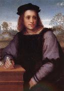 Man portrait, Andrea del Sarto